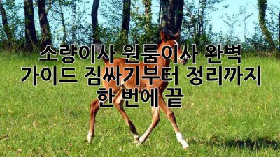 📦 #소량이사 #원룸이사 완벽 가이드: 짐싸기부터 정리까지 한 번에 끝! ✨