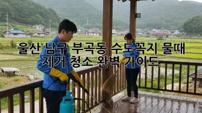 울산 남구 부곡동 수도꼭지 물때 제거 청소 완벽 가이드